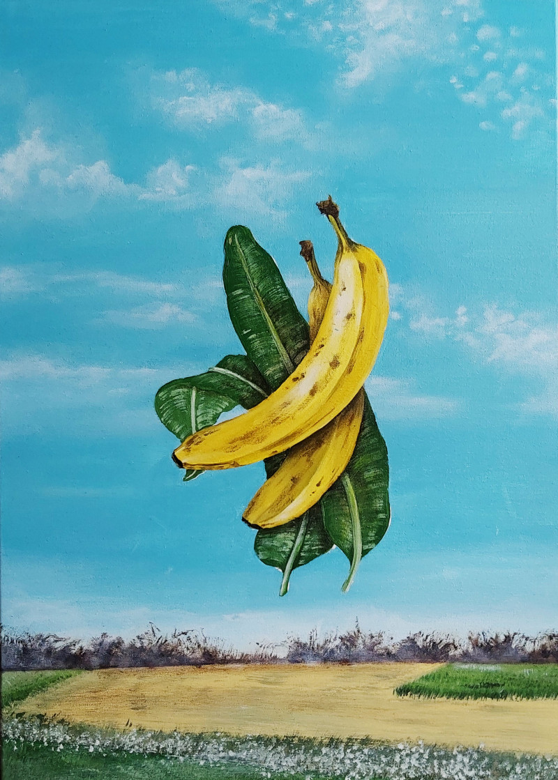 Bananu nariu dydis Labai dideliu dydziu nuotraukos